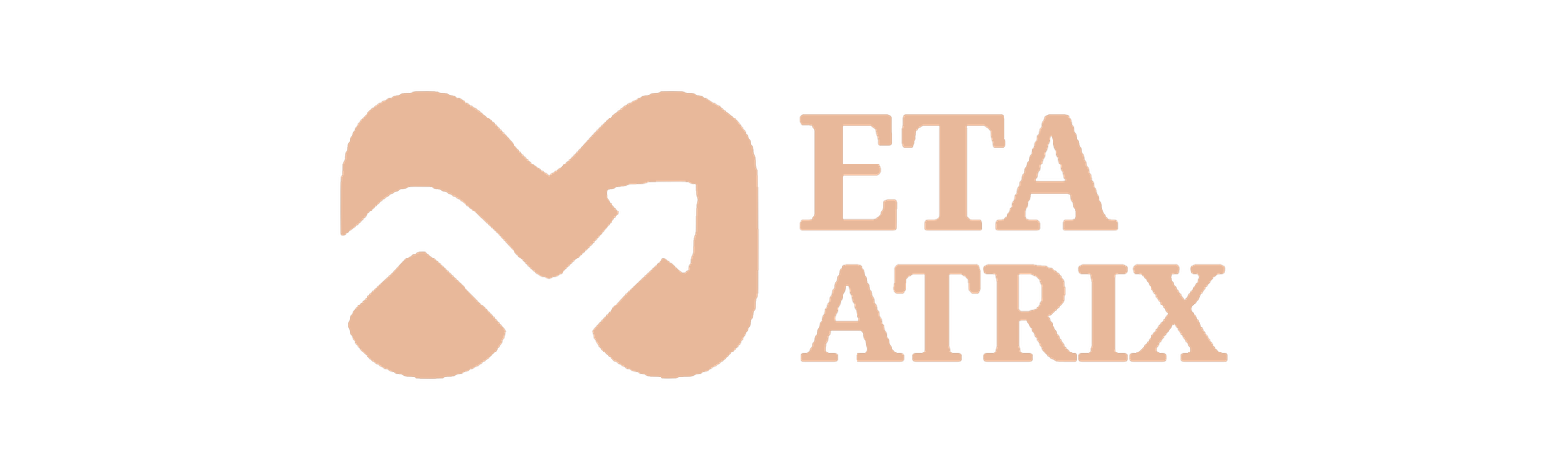 Metamatrix
